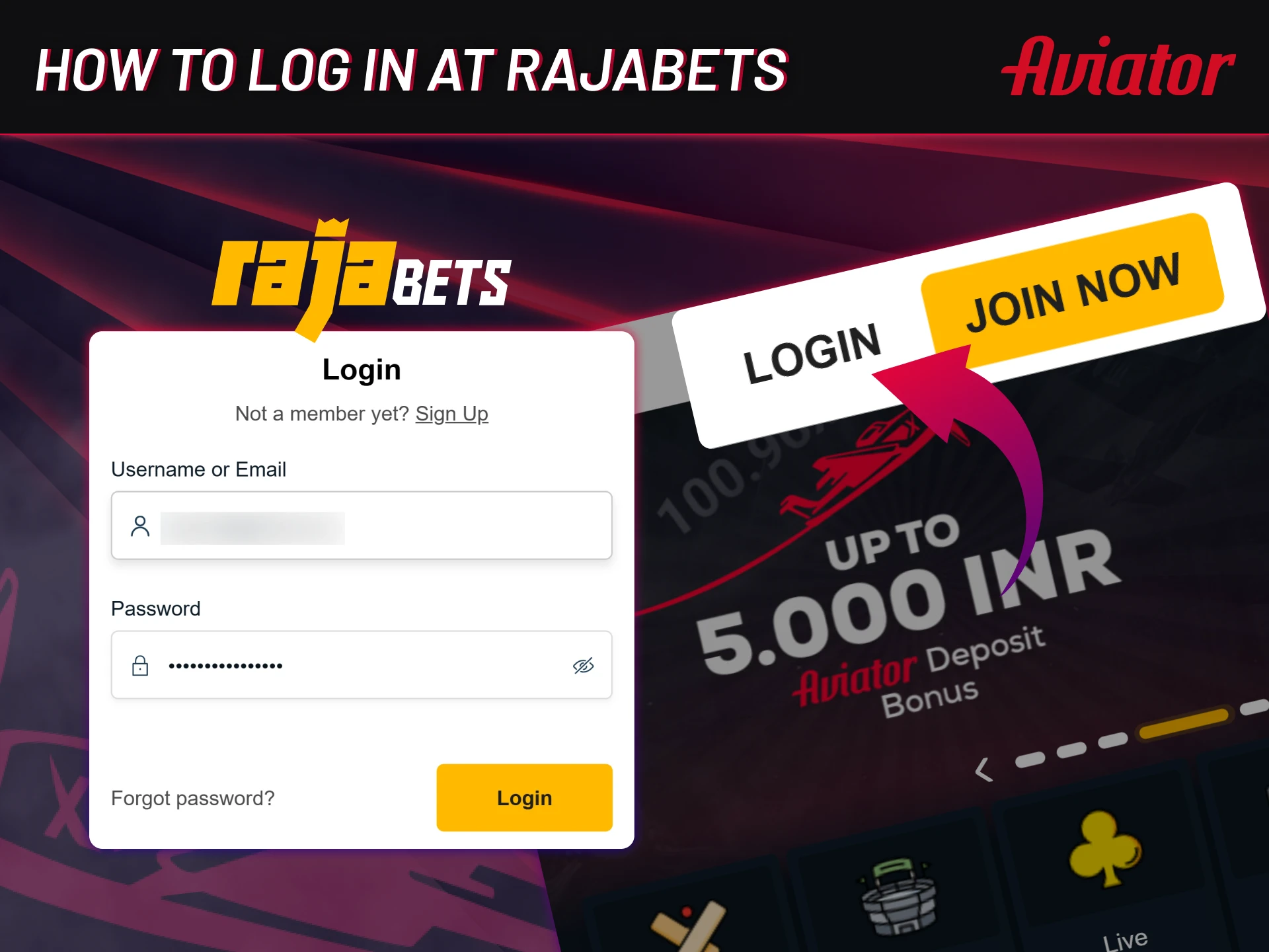 To log in to Rajabets Aviator, do this easy steps.